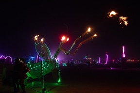 Burning Man by night